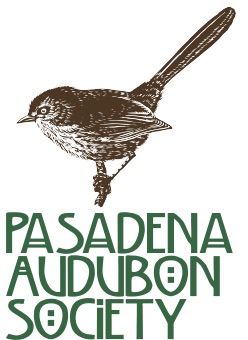 PAS logo