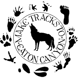 Eaton Canyon Nature Center Associates logo