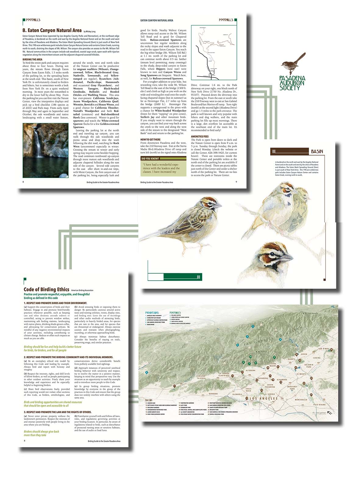 sample pages from the forthcoming Birding Guide to the Greater Pasadena Area