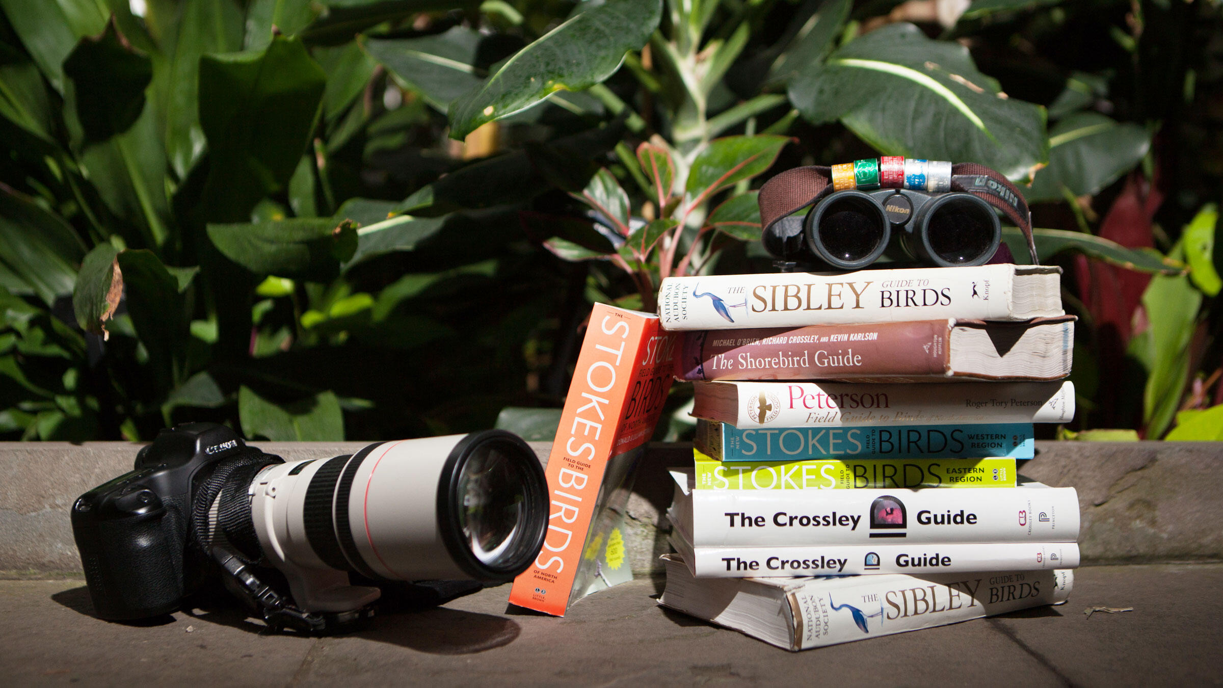 photo of bird guides. CREDIT: Camilla Cerea/Audubon