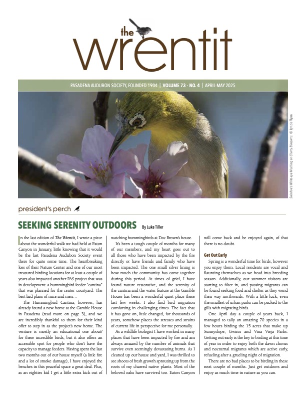 April 2025 Wrentit newsletter cover