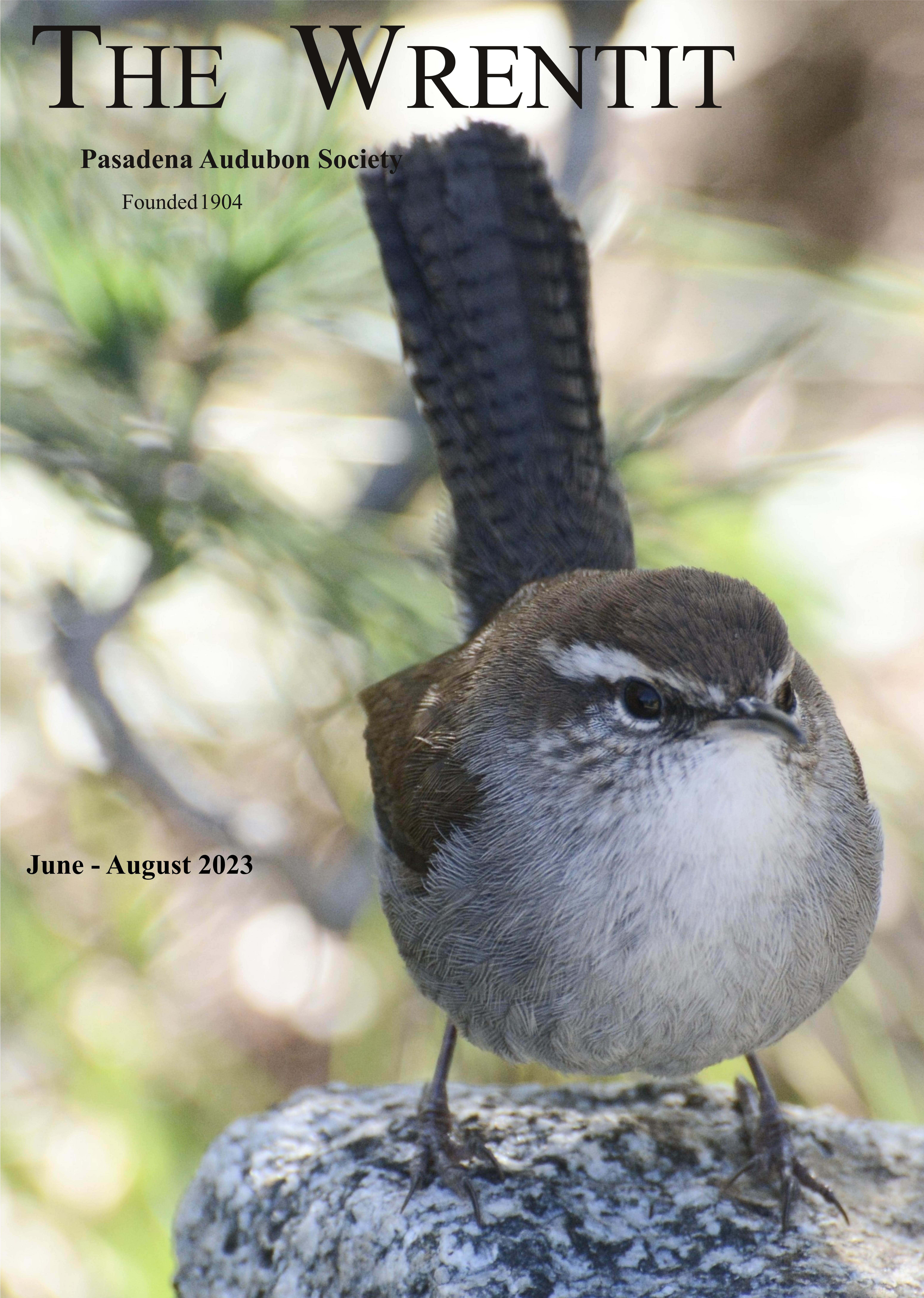 June - August 2023 Wrentit newsletter cover