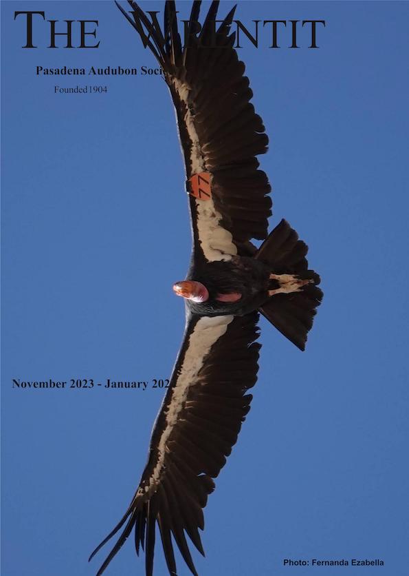 November - DecemberOctober 2023 Wrentit newsletter cover
