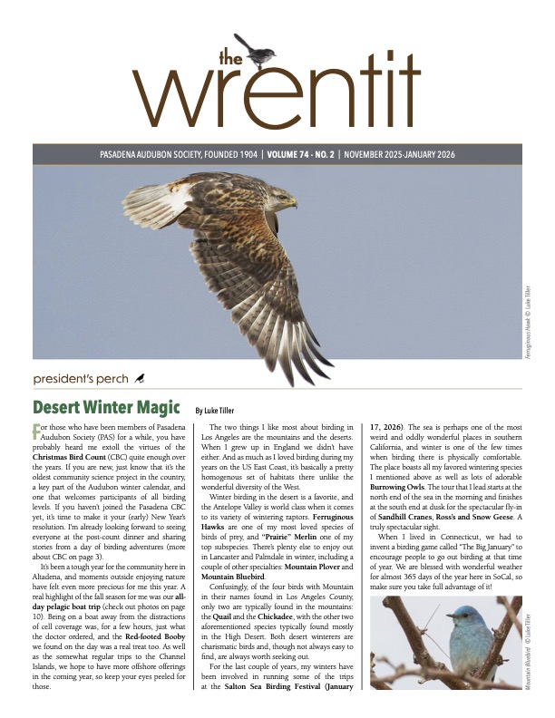 November 2025 Wrentit newsletter cover