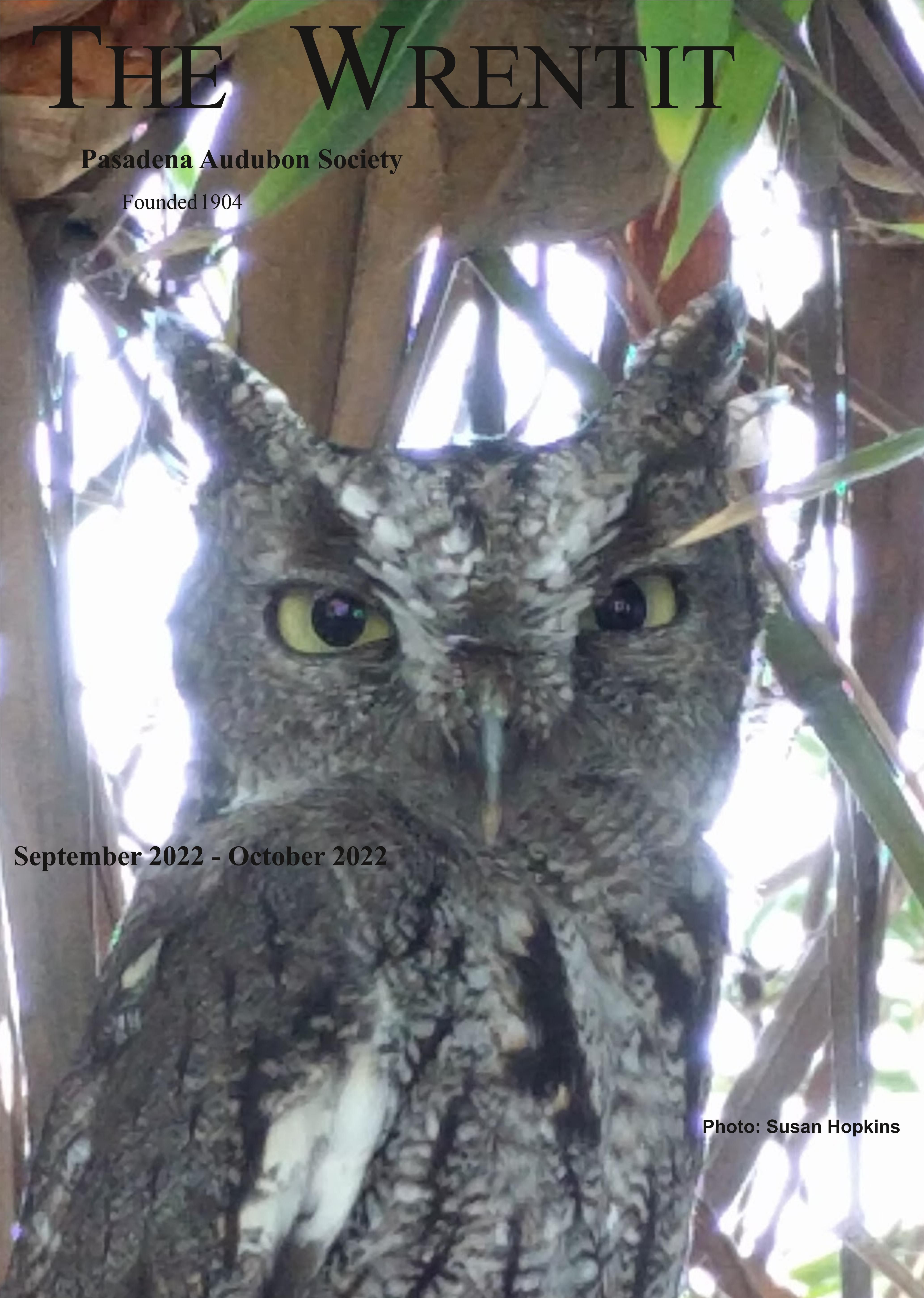 September - October 2022 Wrentit newsletter cover