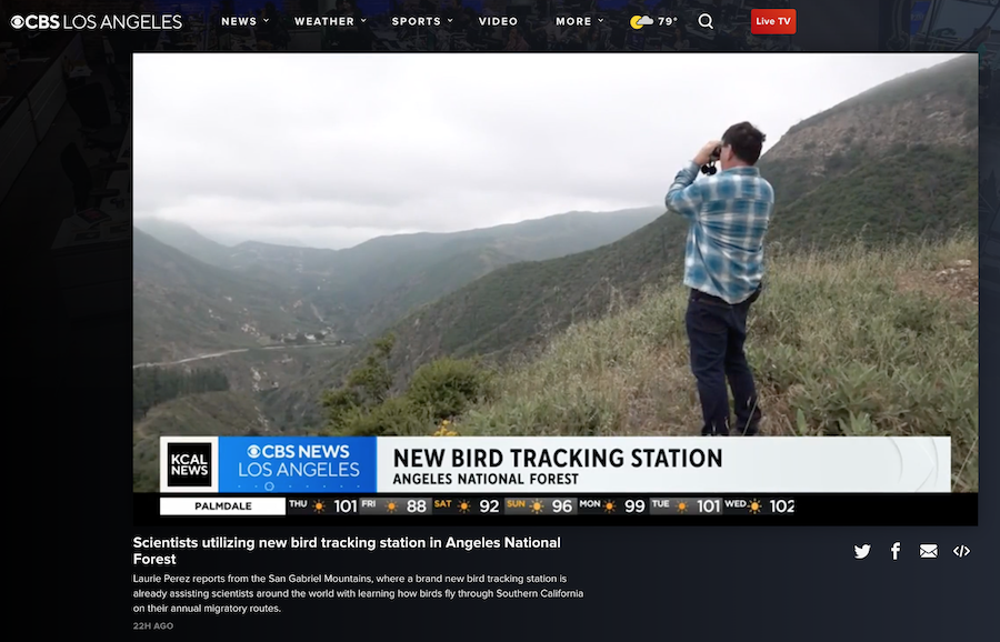 screenshot of KCAL 9 story on Bear Divide
