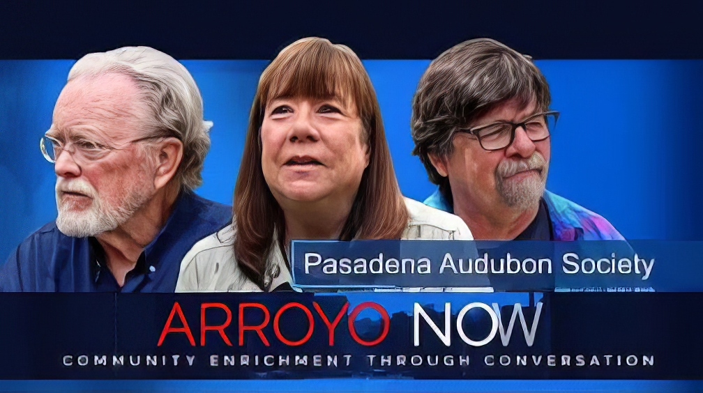 Arroyo Now - The Pasadena Audubon Society