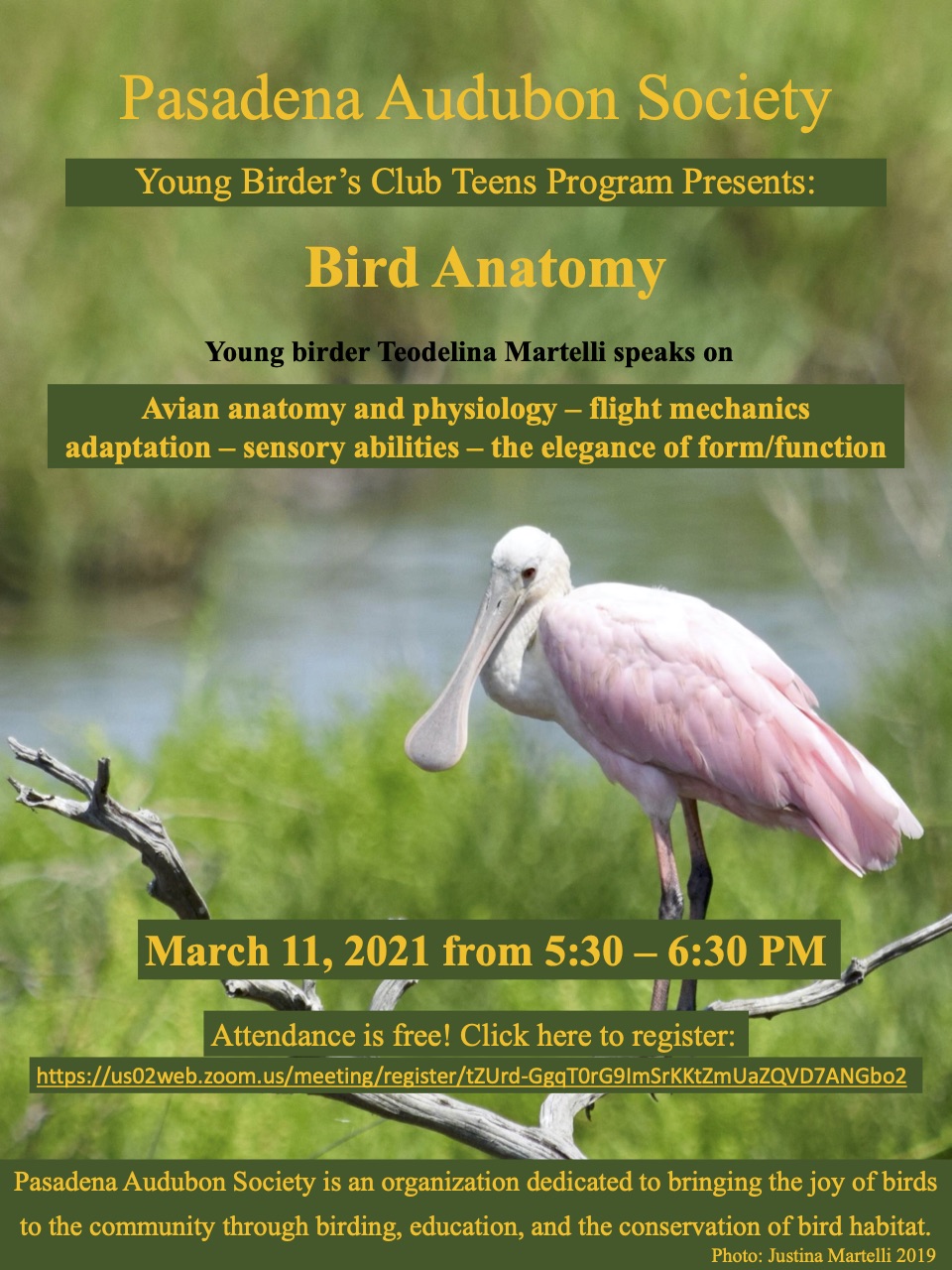 Young Birders Club TEENS March 2021 meeting